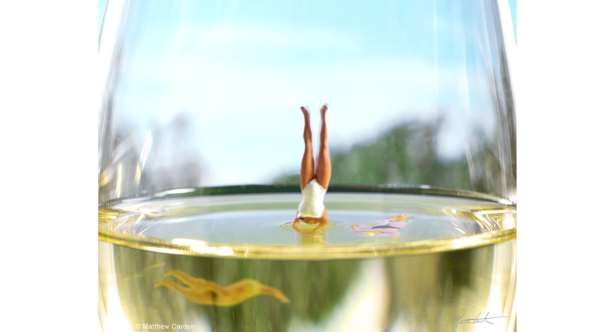 carden_sw_wine006