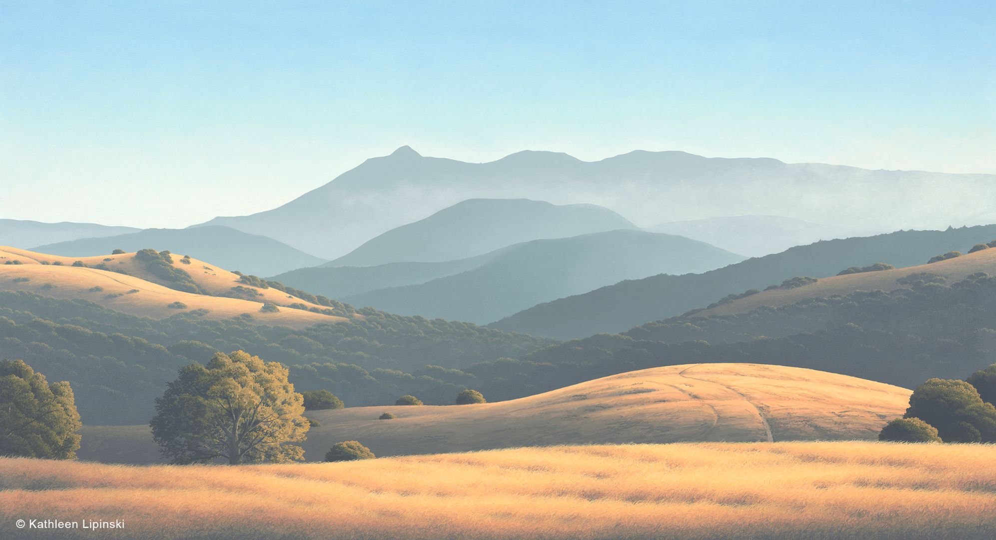 lipinski_tam_and_the_ross_valley1