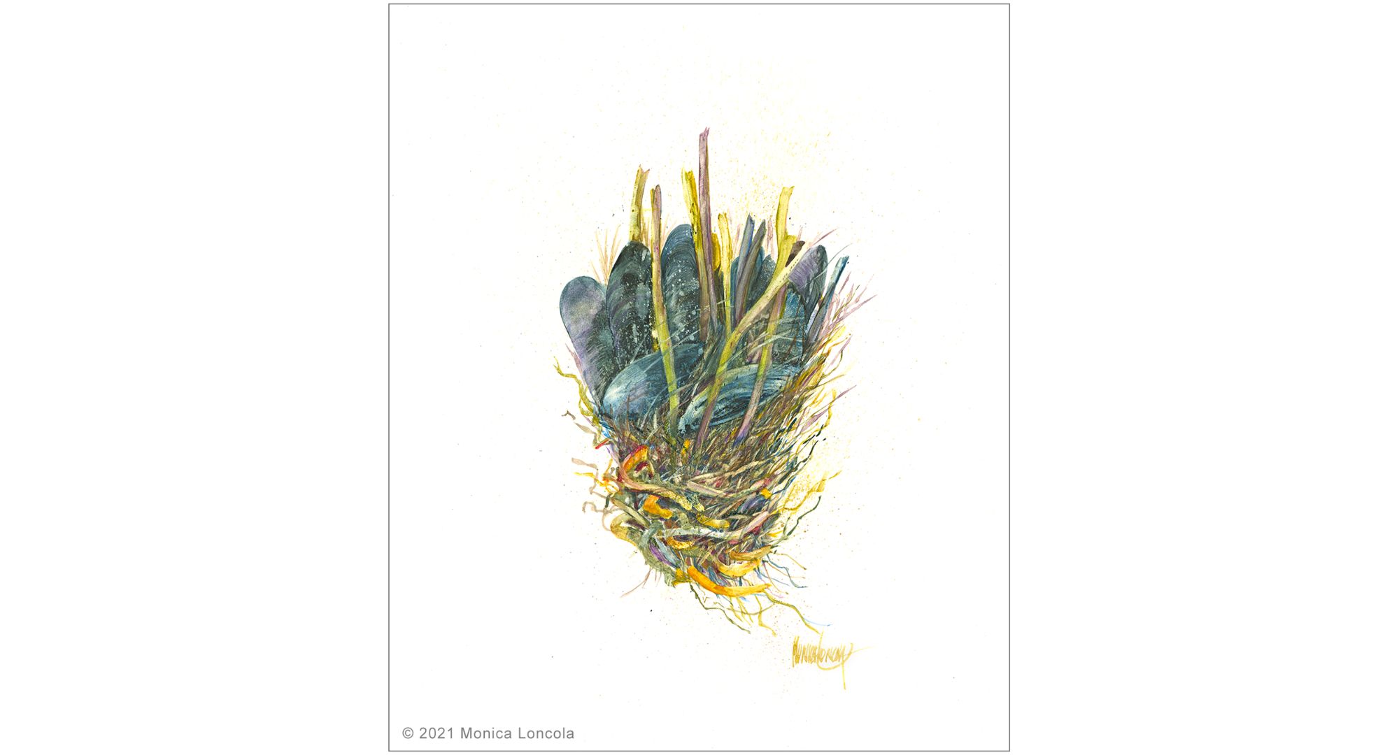 loncola_mussel_bouquet_003_new