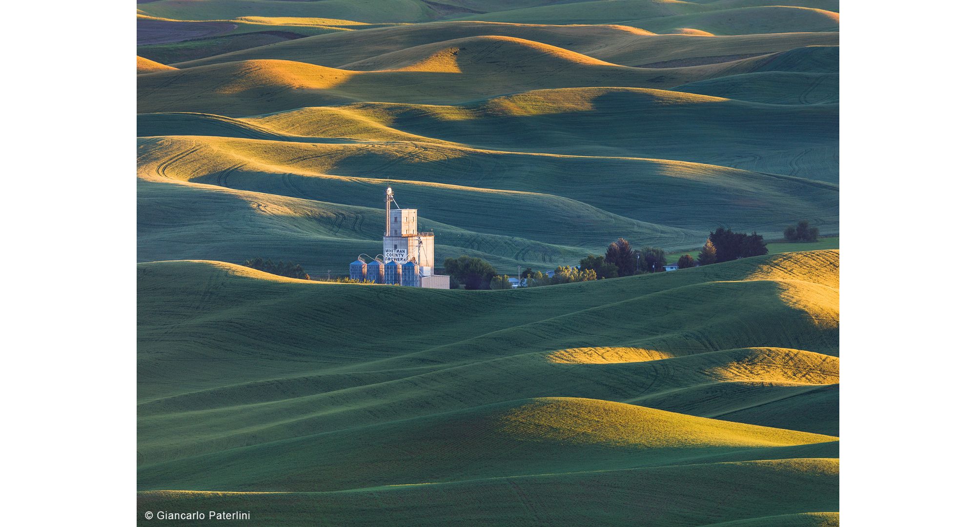 paterlini_palouse-2